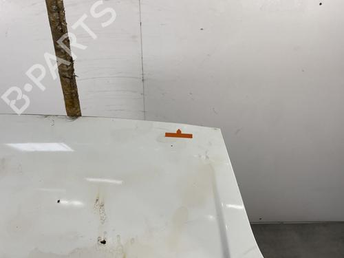 Hood FORD FIESTA V (JH_, JD_) 1.4 TDCi | BP21960986C1 