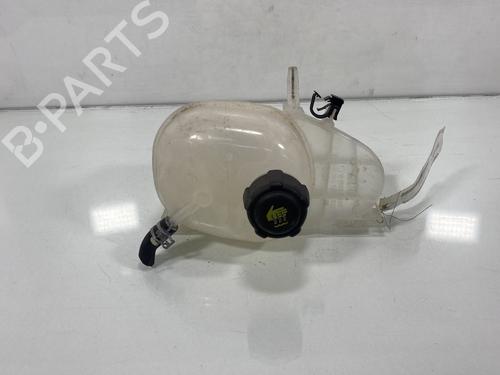 Used Expansion tank RENAULT TWINGO III (BCM_, BCA_) 1.0 SCe 65 (BCMJ) (65 hp) 20029906