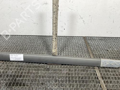 Used Door moulding trim RENAULT SCÉNIC II (JM0/1_) 1.9 dCi (JM0G, JM12, JM1G, JM2C) (120 hp) 30181132
