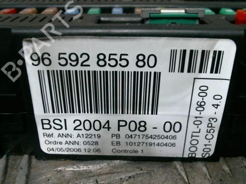 Used Electronic module Electronic module PEUGEOT 207 (WA_, WC_) 1.6 HDi (90 hp) 22694829 22694829