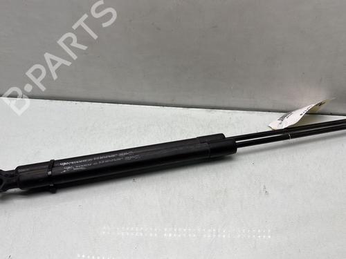 Tailgate lift support DACIA LOGAN MCV II 1.5 dCi | BP29939208C138