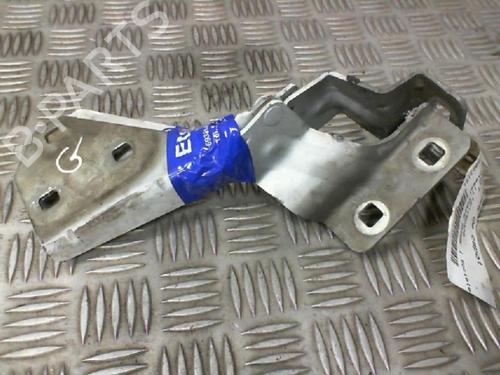 Used Hinge/Door check strap RENAULT MEGANE II (BM0/1_, CM0/1_) 1.5 dCi (BM0F, BM0T, BM2B, CM0F, CM0T) (82 hp) 19986784