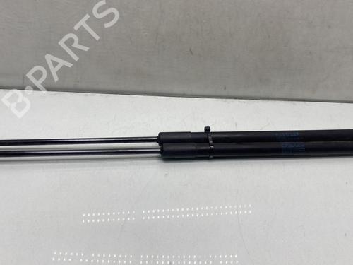Tailgate lift support BMW 3 Touring (E91) 320 d | BP27721817C138 