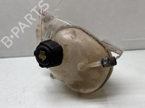 Used Expansion tank RENAULT TWINGO III (BCM_, BCA_) 1.0 SCe 70 (BCMB) (69 hp) 32389442