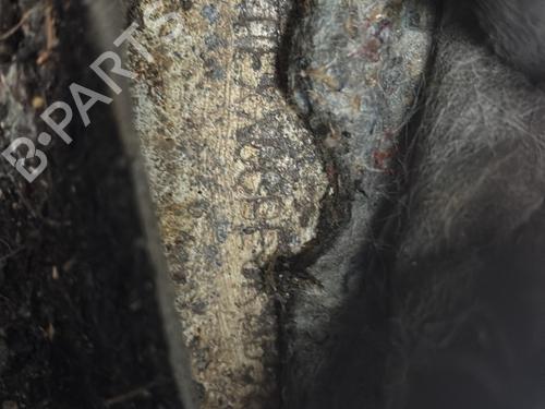 - Image 10