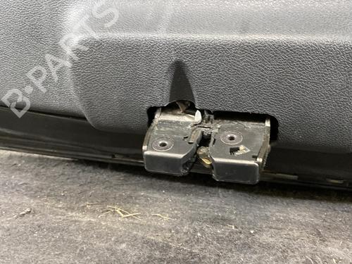 Tailgate RENAULT CLIO III (BR0/1, CR0/1) 1.5 dCi (BR17, CR17) | BP30678196C6 