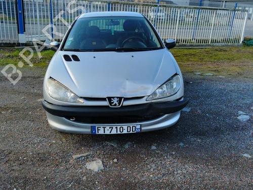 Right front door PEUGEOT 206 Hatchback (2A/C) 1.4 HDi eco 70 | BP31192850C3