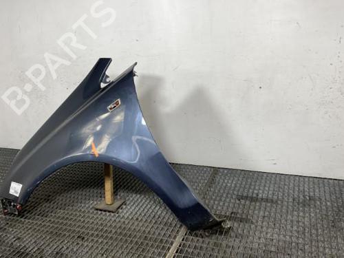 Left front fenders OPEL CORSA D (S07) 1.3 CDTI (L08, L68) | BP21963043C41 