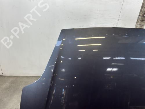hood-fiat-punto-evo-199_-2008-24144308 main image