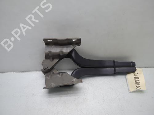 Hinge/Door check strap NISSAN QASHQAI I (J10, NJ10) 1.5 dCi | BP24550136C146