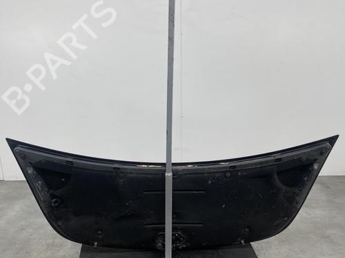 Hood SMART FORFOUR (454) 1.1 (454.030) | BP19974670C1 