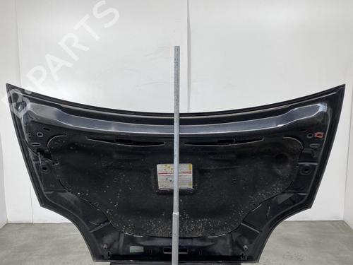 Hood FIAT BRAVO II (198_) 1.6 D Multijet (198AXM1B) | BP19965417C1