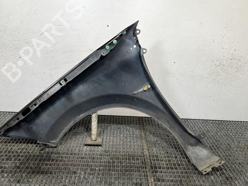 Right front fenders RENAULT MEGANE II (BM0/1_, CM0/1_) 1.5 dCi (BM1E, CM1E) | BP29508217C42 