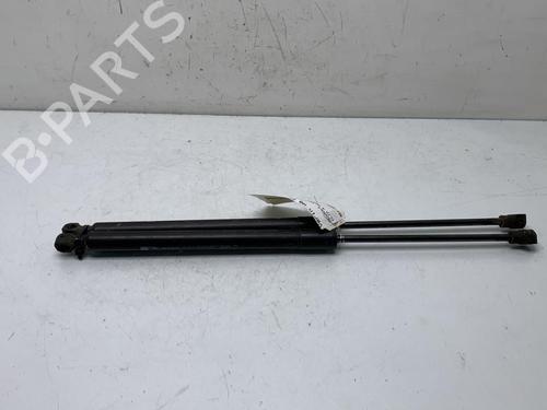 Tailgate lift support RENAULT CLIO IV (BH_) 1.5 dCi 75 | BP19995036C138 