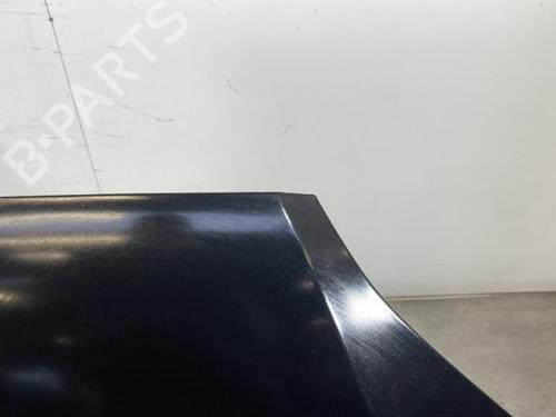 Hood FORD FOCUS C-MAX (DM2)  | BP19969542C1 