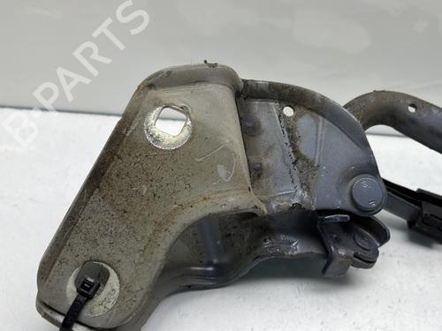 Hinge/Door check strap RENAULT CLIO III (BR0/1, CR0/1) 1.5 dCi | BP24428208C146 