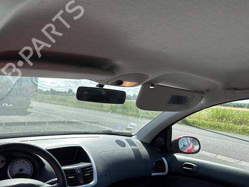 Left front door PEUGEOT 206+ (2L_, 2M_) 1.4 i | BP29999542C2