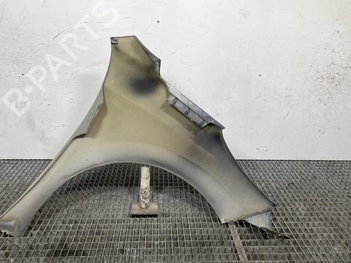 Left front fenders PEUGEOT 207 (WA_, WC_) 1.4 HDi | BP28475790C41