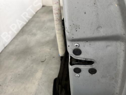 Right front door RENAULT CLIO III (BR0/1, CR0/1) 1.5 dCi (C/BR0G, C/BR1G) | BP29508192C3 