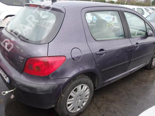 Hood PEUGEOT 307 (3A/C) 2.0 HDi 90 | BP20016509C1 
