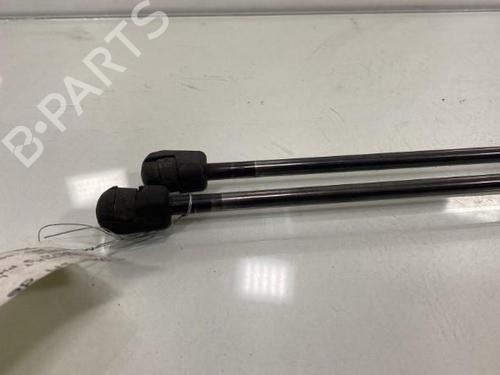 Tailgate lift support RENAULT CLIO III Grandtour (KR0/1_)  | BP19998229C138 