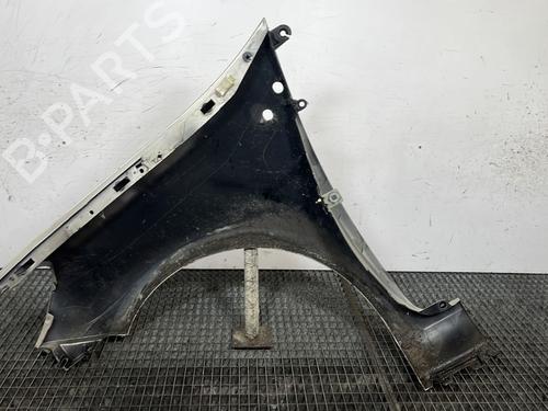 Right front fenders RENAULT CLIO III (BR0/1, CR0/1) 1.5 dCi (BR17, CR17) | BP29841693C42