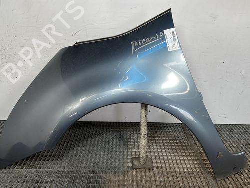Aleta delantera izquierda CITROËN C4 Picasso I MPV (UD_) 1.6 HDi (109 hp) 28280538