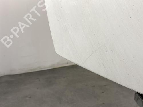 Hood RENAULT MEGANE I (BA0/1_) 1.9 dTi (BA1U) | BP21372862C1 