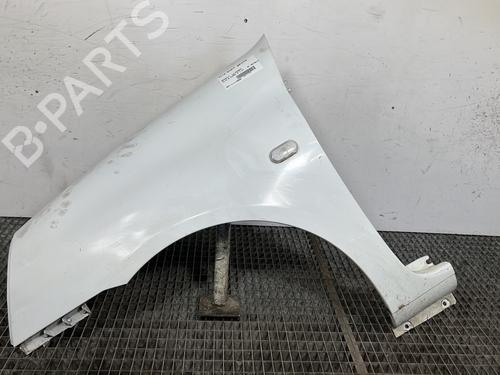 Used Left front fenders RENAULT CLIO II (BB_, CB_) 1.2 (BB0A, BB0F, BB10, BB1K, BB28, BB2D, BB2H, CB0A,... (58 hp) 28425213