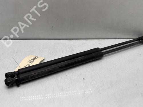 Used Tailgate lift support RENAULT MEGANE IV Hatchback (B9A/M/N_) 1.5 dCi 110 (B9A3) (110 hp) 29841742