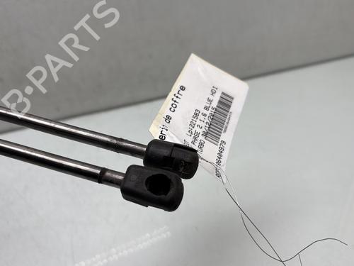 Tailgate lift support PEUGEOT 3008 I MPV (0U_) 1.6 BlueHDi 120 | BP29567202C138 