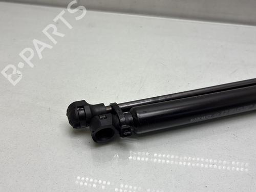 tailgate-lift-support-renault-twingo-iii-bcm_-bca_-2014-33830485 main image