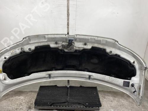 Hood VW TRANSPORTER T5 Van (7HA, 7HH, 7EA, 7EH) 1.9 TDI | BP27356460C1 