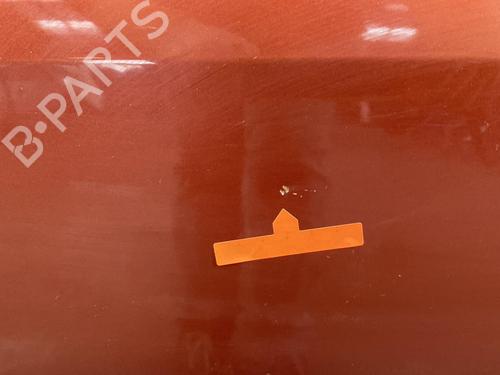 Left front door RENAULT MEGANE II (BM0/1_, CM0/1_)  | BP21959289C2 