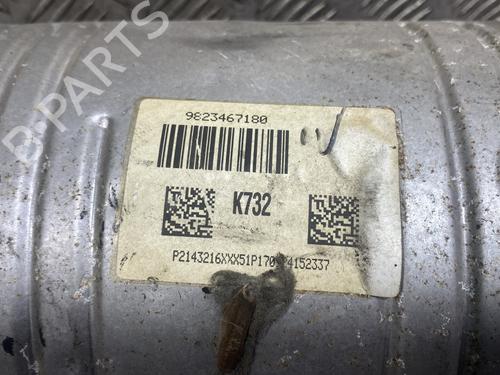 Catalyst CITROËN C-ELYSEE (DD_) 1.6 BlueHDi 100 | BP24453120M10 