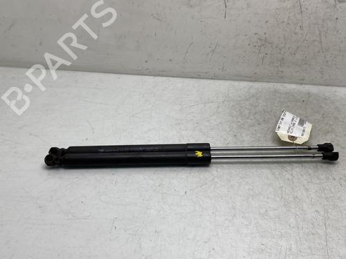 Tailgate lift support RENAULT CLIO III (BR0/1, CR0/1) 1.5 dCi (C/BR0G, C/BR1G) | BP19957287C138 