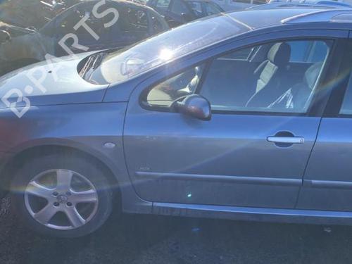 Tailgate lift support PEUGEOT 307 SW (3H)  | BP19959396C138 