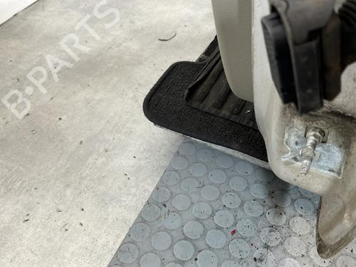 Left front door RENAULT CLIO III (BR0/1, CR0/1) 1.5 dCi (BR17, CR17) | BP29841535C2