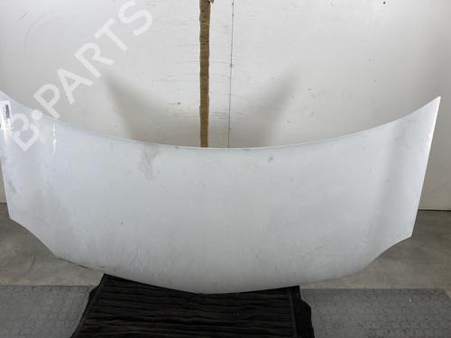 Used Hood RENAULT KANGOO / GRAND KANGOO II (KW0/1_) 1.5 dCi 85 (KW0K, KW0L, KW0B) (86 hp) 22594873