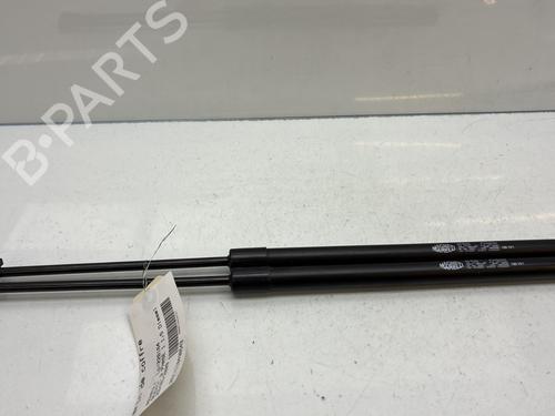 tailgate-lift-support-renault-scenic-iii-jz01_-2008-2009-2010-2011-2012-2013-2014-2015-2016-33724320 main image