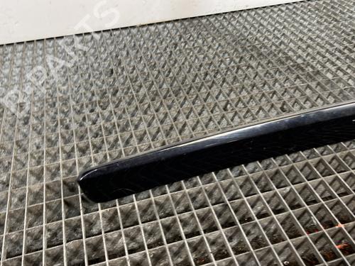 Door moulding trim VW TIGUAN (5N_) 2.0 TDI 4motion | BP29525291C150 