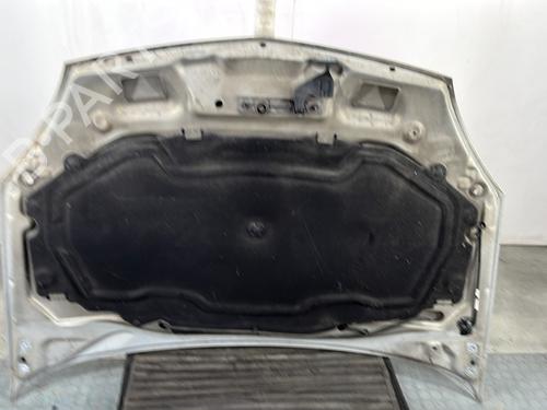 Hood RENAULT CLIO II (BB_, CB_) 1.5 dCi (B/CB07) | BP28281747C1 
