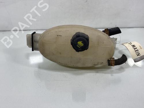 Used Expansion tank RENAULT TRAFIC II Van (FL) 2.0 dCi 90 (FL0H) (90 hp) 19956881