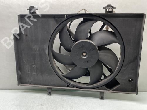 Used Radiator fan FORD FIESTA VI (CB1, CCN) 1.25 (82 hp) 30046436