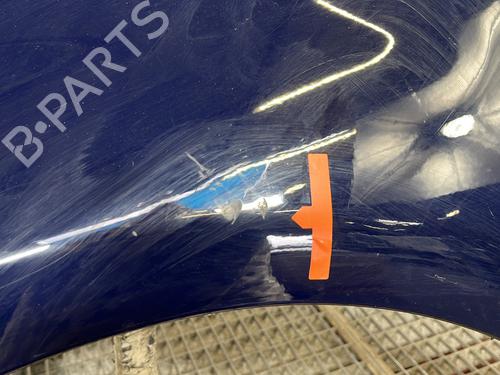 Left front fenders DACIA SANDERO 1.4 (BS0C, BS0A, BS0G, BS1F, BS0E) | BP29141815C41 