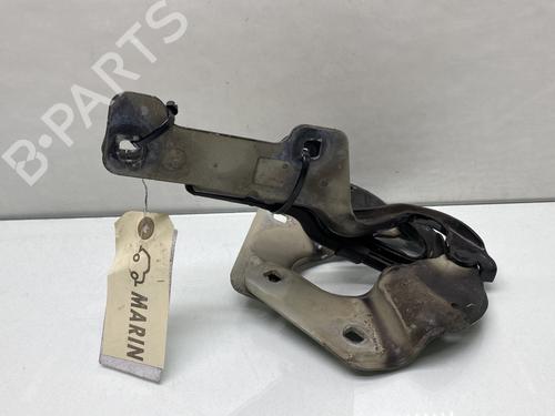 Used Hinge/Door check strap RENAULT CLIO III (BR0/1, CR0/1) 1.5 dCi (88 hp) 26236449