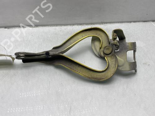 Hinge/Door check strap PEUGEOT 107 (PM_, PN_) 1.4 HDi | BP24428105C146 