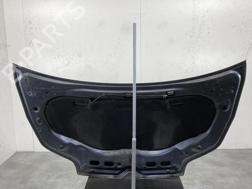 Cofano anteriore PEUGEOT 206 Hatchback (2A/C) | BP30872176C1