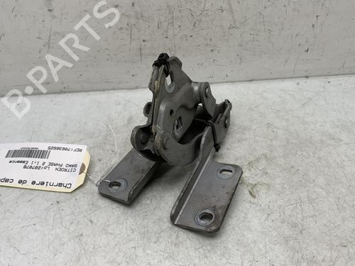 Hinge/Door check strap CITROËN SAXO (S0, S1)  | BP19957020C146 