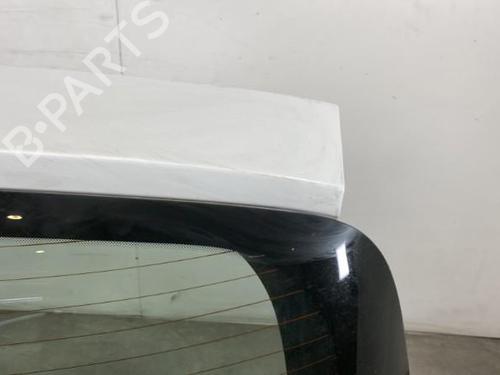 Tailgate RENAULT CLIO III (BR0/1, CR0/1) 1.5 dCi (C/BR0G, C/BR1G) | BP30546791C6 